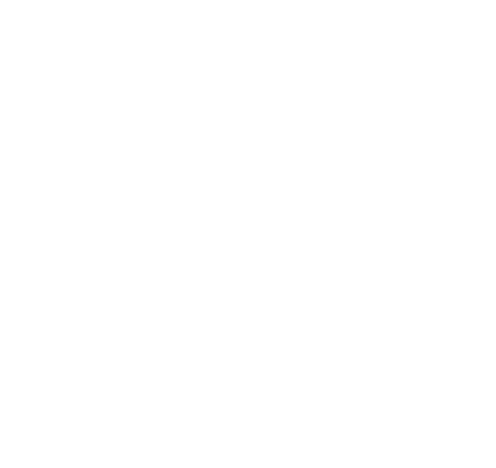 The Alley Stores